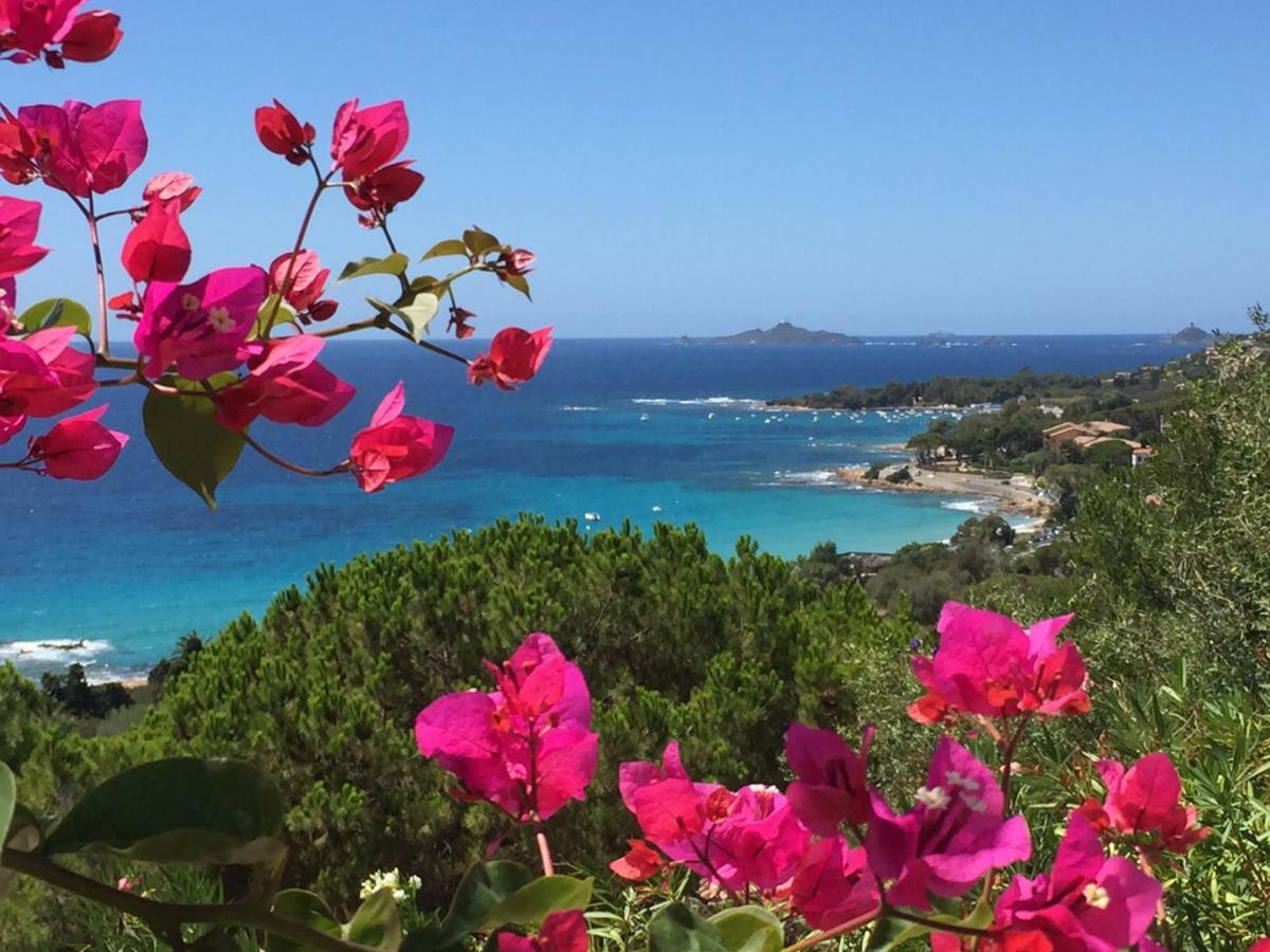 Bed and Breakfast Barbicaj'Alta Ajaccio  Exterior foto